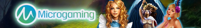 Microgaming banner