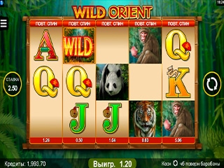 Wild Orient Slot